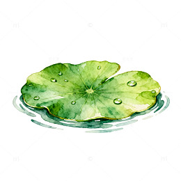 荷叶浮水手绘水彩画