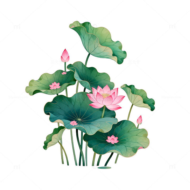 水墨风荷花插画设计素材