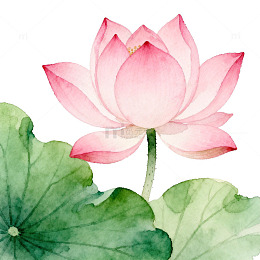 水彩荷花绘画作品欣赏