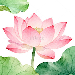 水彩荷花装饰画设计素材