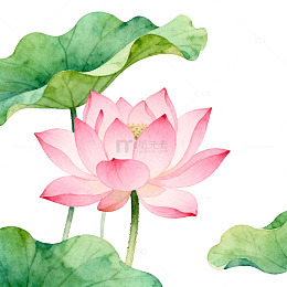 水彩荷花装饰画设计素材