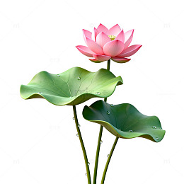 清新荷花装饰图案设计素材