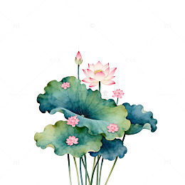 水彩荷花淡雅图案设计素材