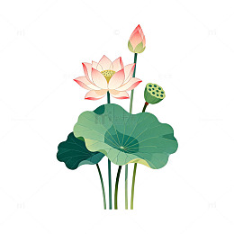 插画风格荷花莲花矢量素材