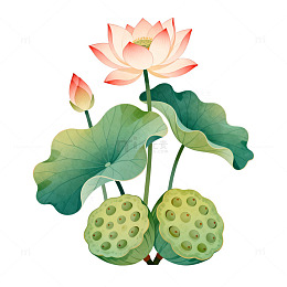 水墨荷花莲蓬插画