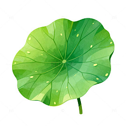 荷叶水彩画素材