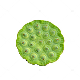绿色莲蓬特写