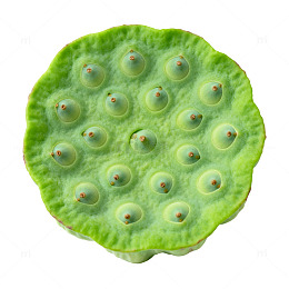 绿色植物果实特写片