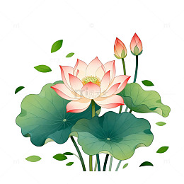 荷花水墨插画设计素材