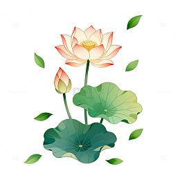 淡雅荷花插画设计素材