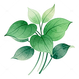 水彩绿植花卉图案装饰元素