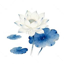 水墨荷花淡雅插画