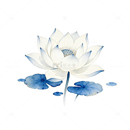 水墨荷花装饰图案矢量素材