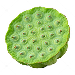 绿色植物特写莲蓬