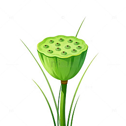 矢量风格绿色植物插画
