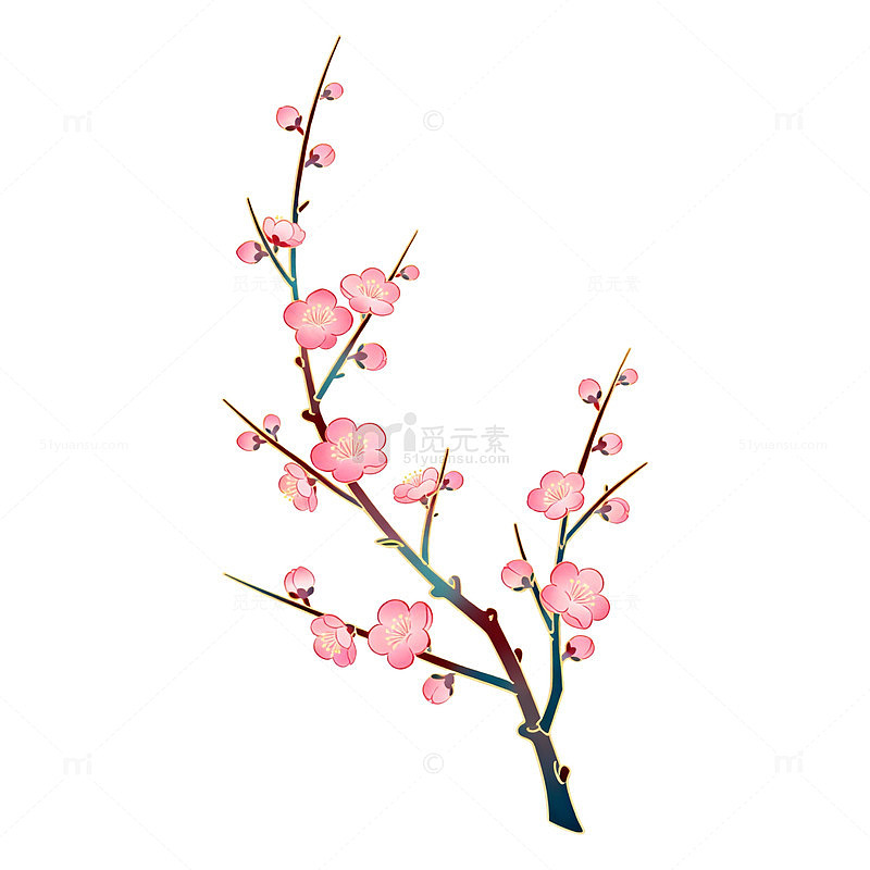 梅花插画手绘素材