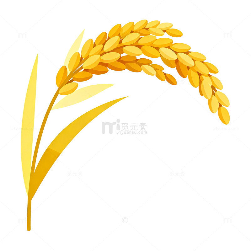 插画风稻谷丰收元素矢量素材