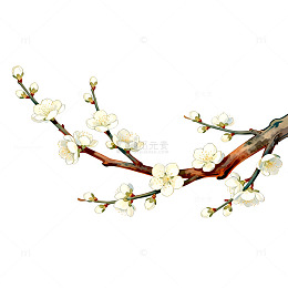 梅花枝插画设计素材
