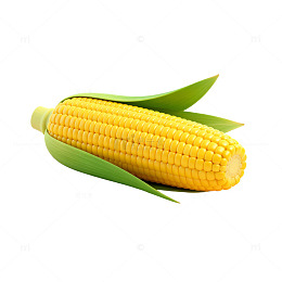 简约风新鲜玉米食材