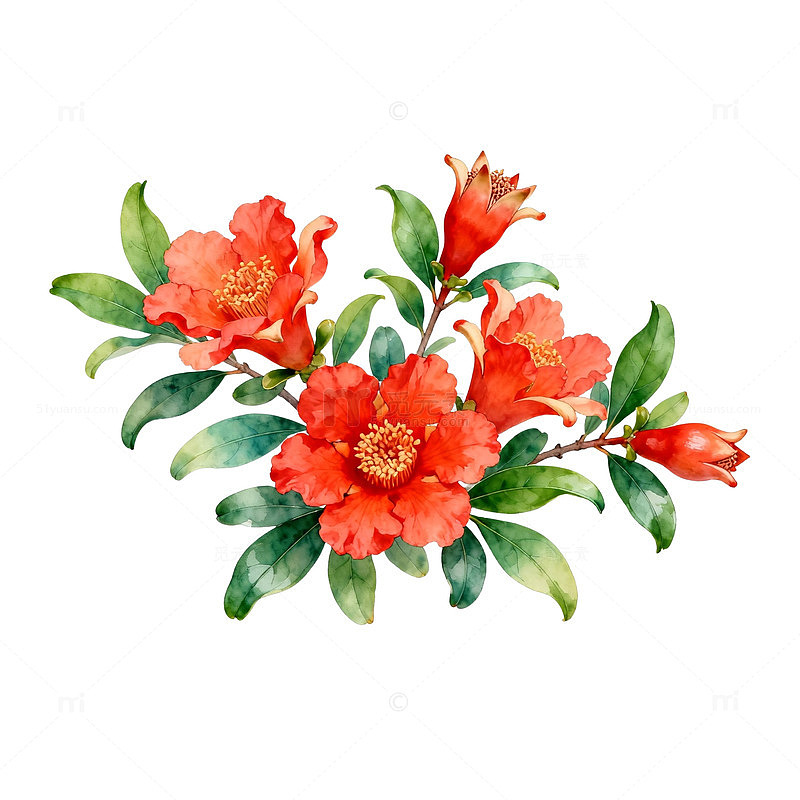 水彩花卉装饰画设计素材