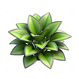 3D仿真植物盆栽设计素材