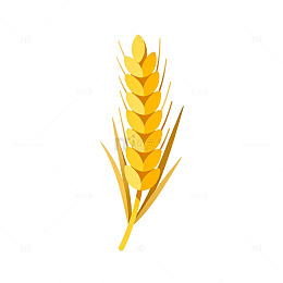 卡通小麦穗矢量插画素材