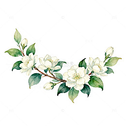 淡雅水彩花卉插画