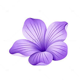 紫色花卉矢量设计元素