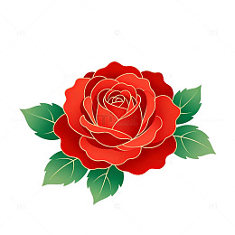矢量图红玫瑰插画设计素材