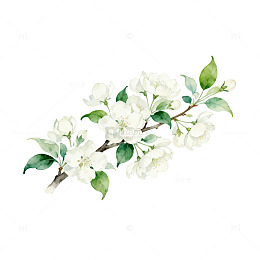 水彩花卉装饰画