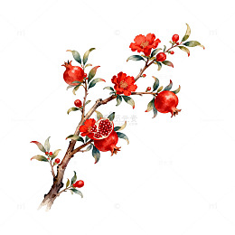 水彩石榴花开装饰画素材