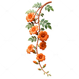 手绘橙色花卉装饰插画