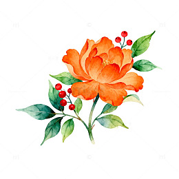 水彩花卉装饰画设计元素
