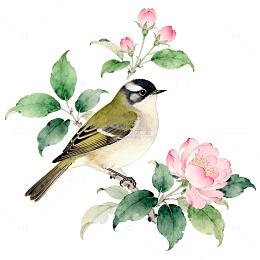 工笔画小鸟花卉装饰画