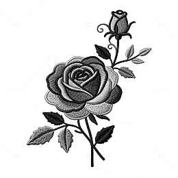 黑白玫瑰花素描插画