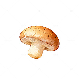 手绘风格蘑菇插画素材