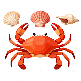 卡通海洋生物元素设计素材