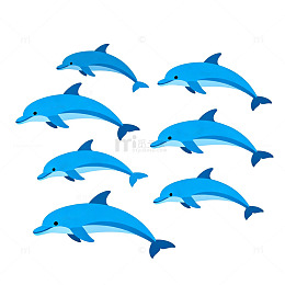 卡通海豚图案插画设计素材