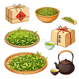 茶叶制作流程矢量插画