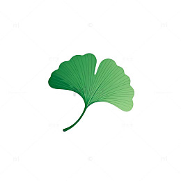 简约银杏叶图案设计元素