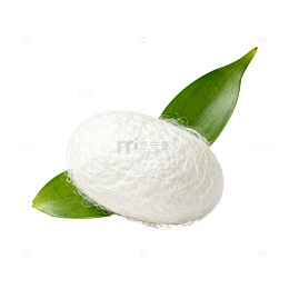 桑蚕茧与绿叶组合