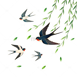 燕子飞柳春季插画素材