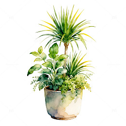 水彩盆栽植物装饰画