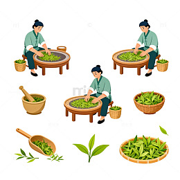 传统制茶工艺插画