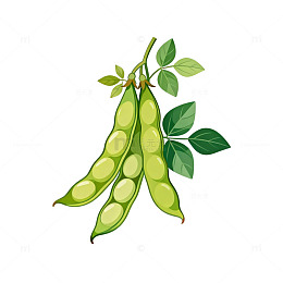 卡通豌豆荚插画设计元素