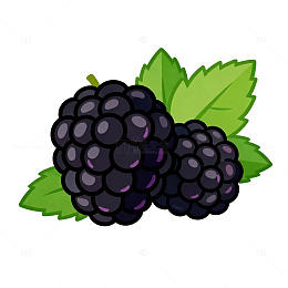 卡通风格黑莓果实插画素材