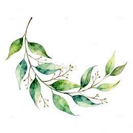 水彩绿叶植物装饰图案