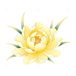 水墨风格荷花绽放插画
