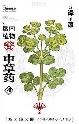 版画中草药植物海报设计