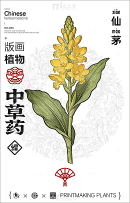 版画风格仙茅中草药宣传海报